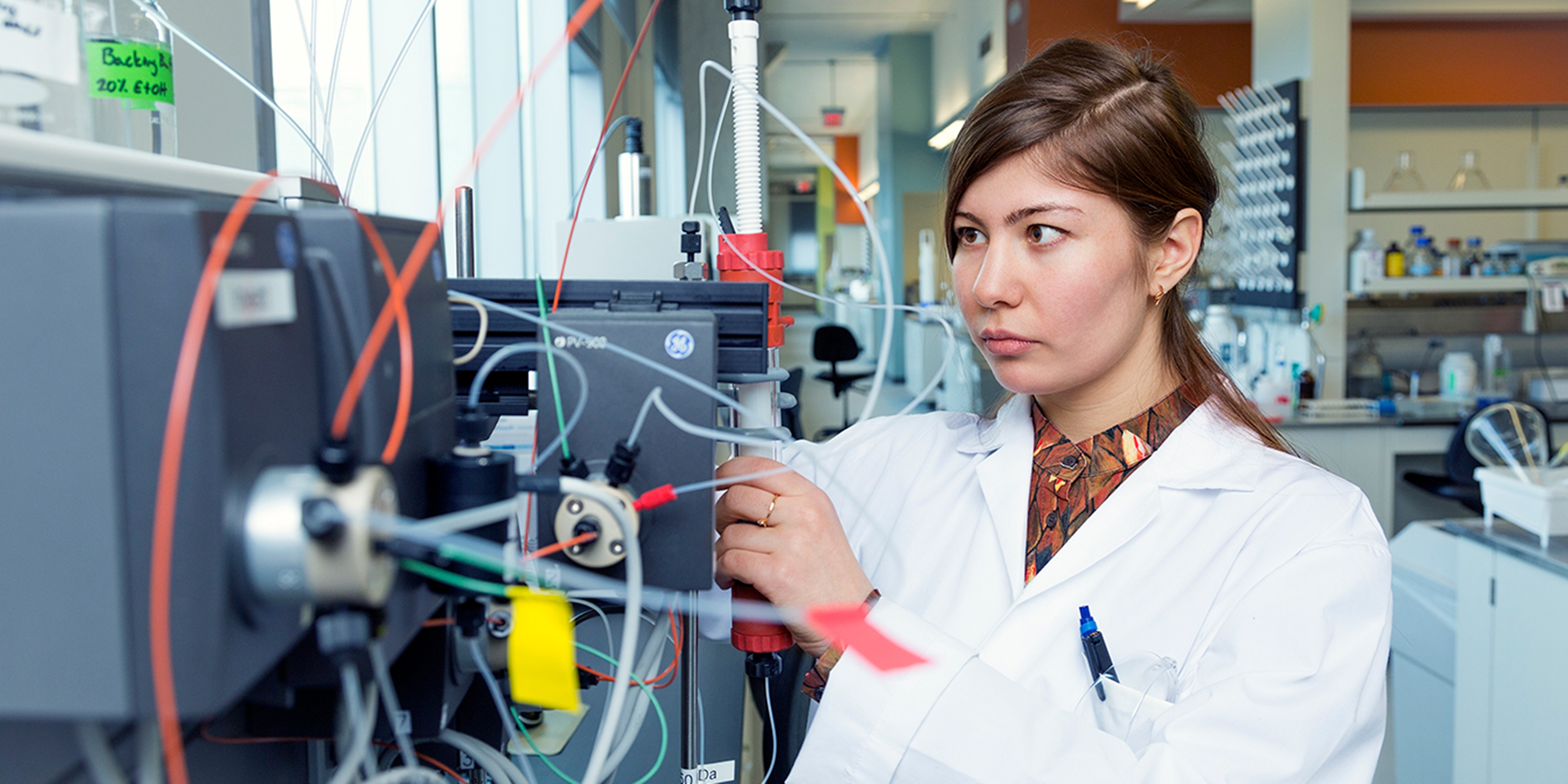 Biomedical Science Future Students York University Biomedical Science Future Students York University